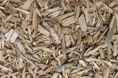 biomass boilers Gowerton
